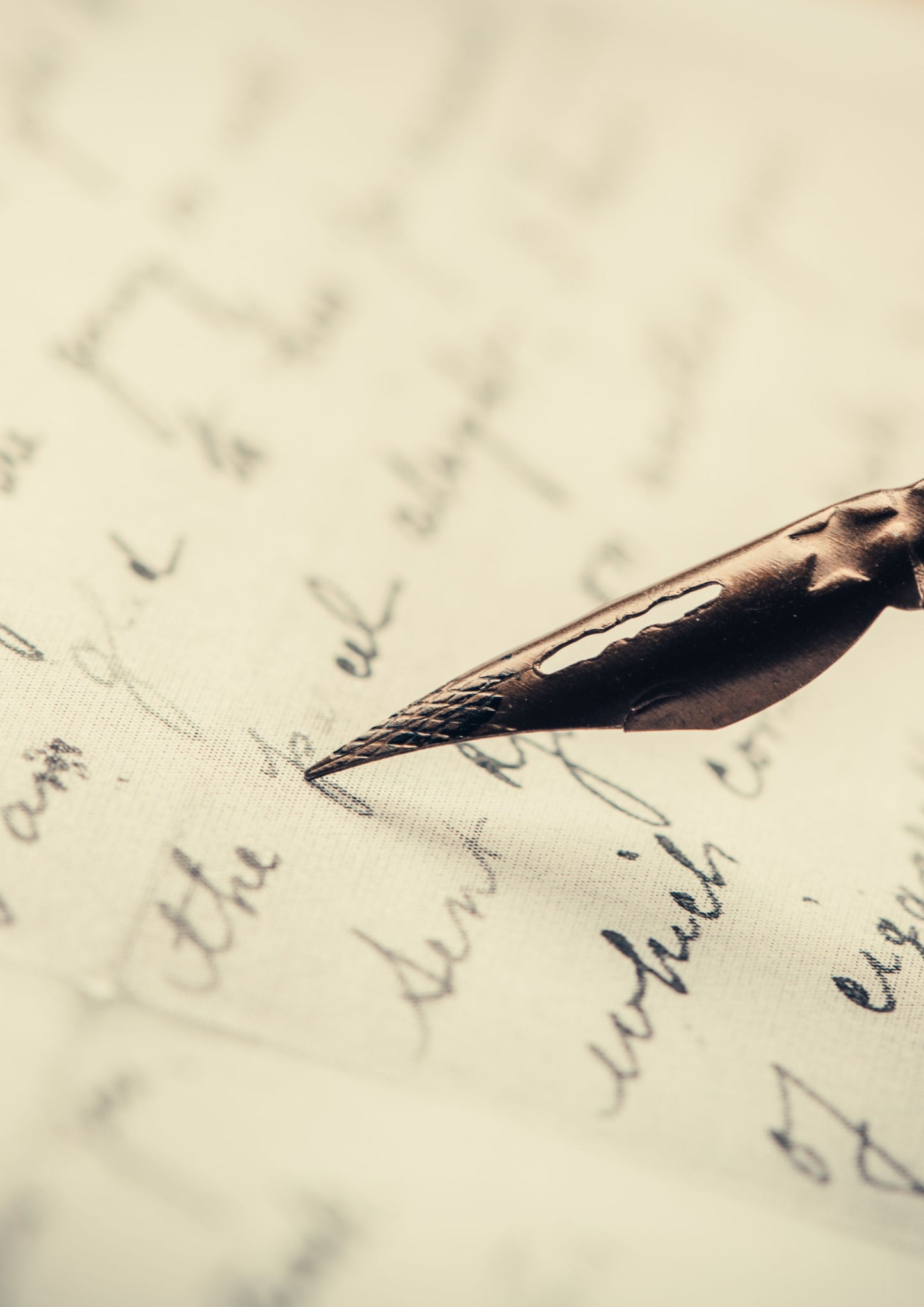 Writer's Mentorship Programme
