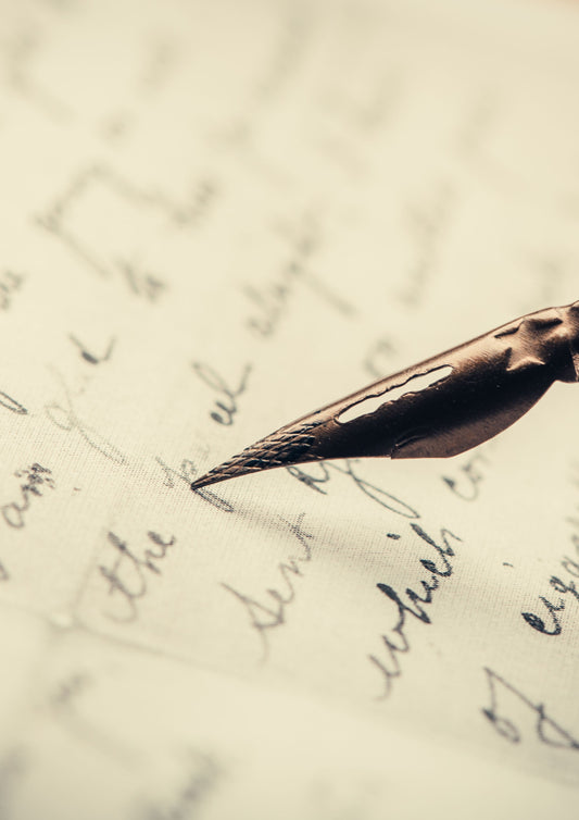 Writer's Mentorship Programme