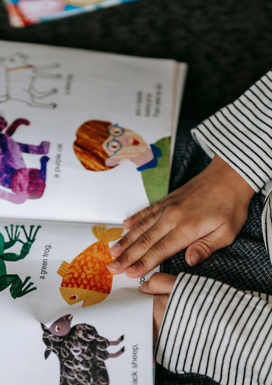 Publish Your Own Picture Book! Perfect for Young or Aspiring Authors